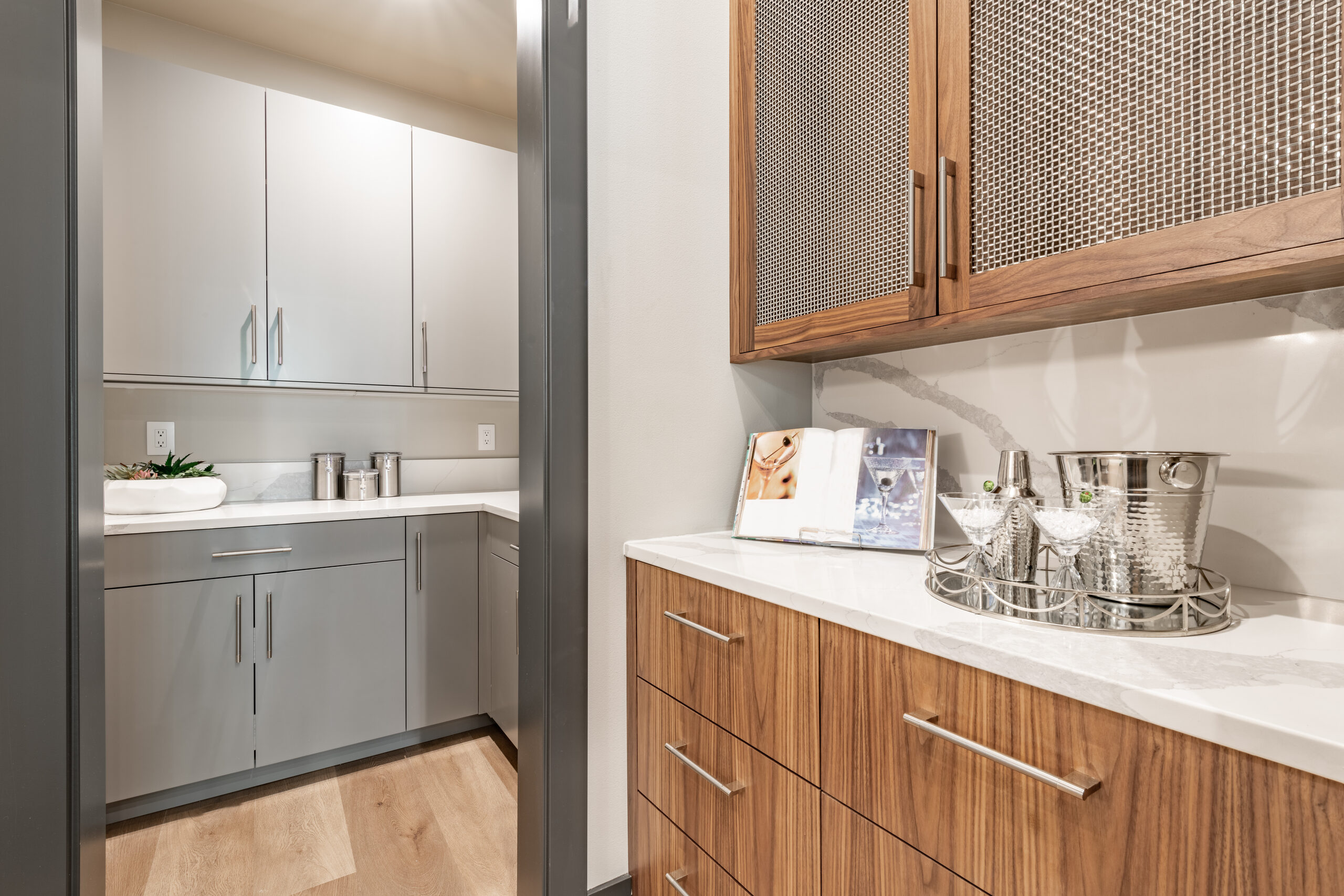 Butler's pantry and bar